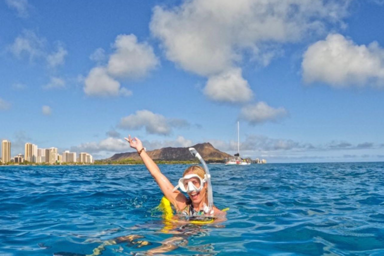 Waikiki : Visite en petit groupe du Turtle Canyon avec masque et tuba
