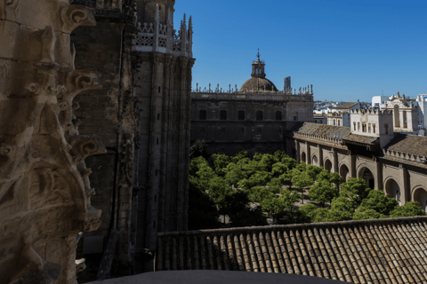 Seville: Fast Track Cathedral Giralda Tower Last minute Tour