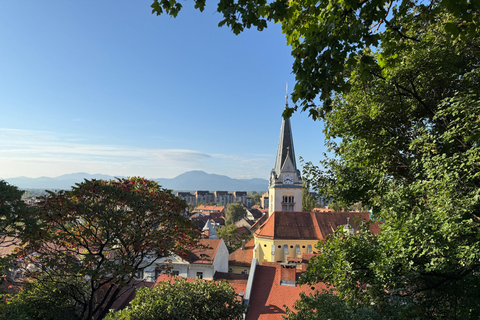 Ljubljana: Guided Food Tour with 10 Authentic Local Tastings