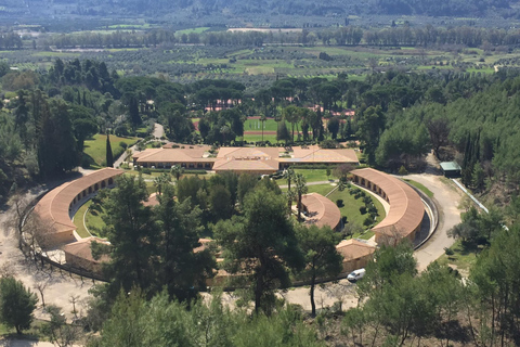 Antigua Olimpia: Tour privado sitio, museo, granja apícola, bodega