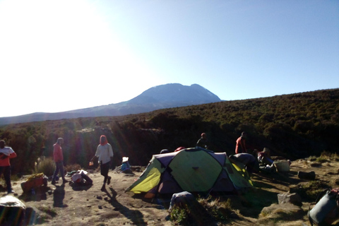 7 giorni di arrampicata di lusso sulla via lemosho del kilimanjaro