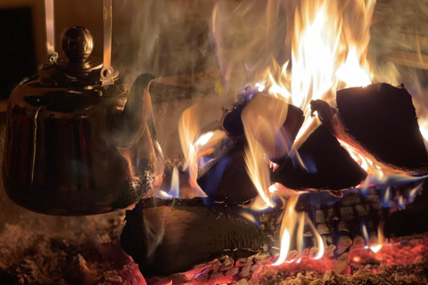 Rovaniemi: Northern Lights Tour with Finnhorses Sleigh Ride