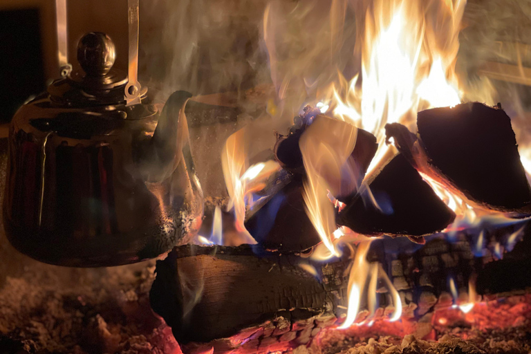 Rovaniemi: Northern Lights Tour with Finnhorses Sleigh Ride