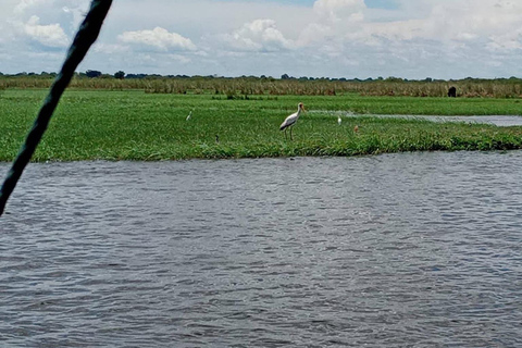 Shakawe: safari de 3 días por el este del OkavangoShakawe: Safari de 3 días por el este del Okavango