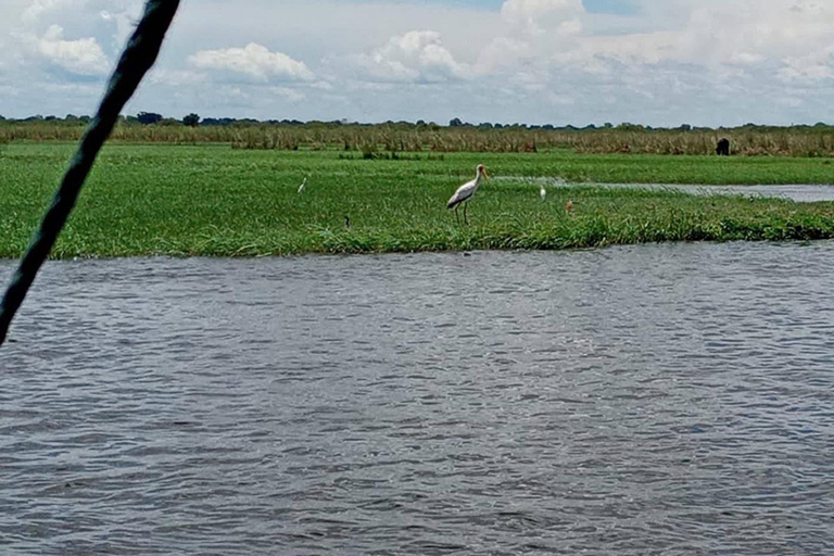 Shakawe: safari de 3 días por el este del OkavangoShakawe: Safari de 3 días por el este del Okavango