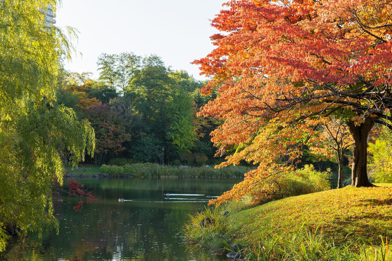 Sapporo:Nakajima Park+Beer Museum+Shiroi Koibito PrivateTour