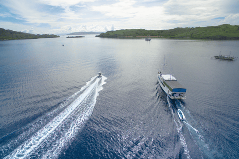 L'île de Komodo : 3D2N Excursion privée en bateau rapide, visite terrestre et hôtel