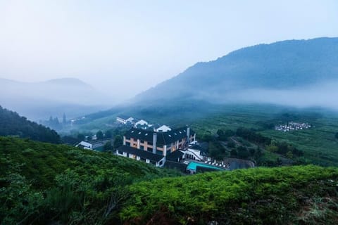 Shanghai: 2-Day Moganshan Mountain & Bamboo Forest Retreat