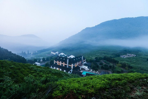 Shanghai: 2-Day Moganshan Mountain & Bamboo Forest Retreat