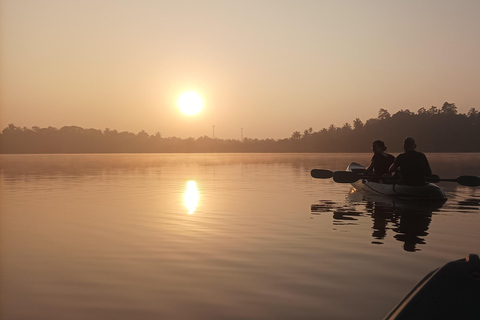 Mirissa: Kayaking & Bird watching Experience Sunrise or Sunset Bird watching Kayaking (Pickup included)