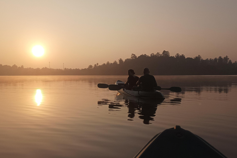 Mirissa: Kayaking & Bird watching Experience Sunrise or Sunset Bird watching Kayaking (Pickup included)
