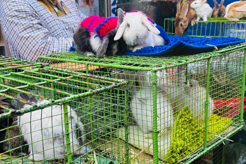 La Paz: Explore South America’s Largest Market in El Alto