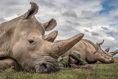 Nairobi: tour di un giorno a Ol Pejeta da NairobiNairobi: Tour di un giorno di Ol Pejeta da Nairobi