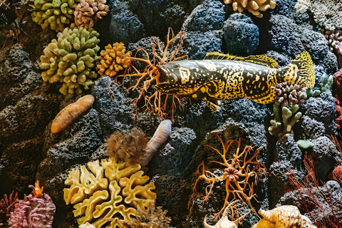 Shanghai: Yu Garden, City God Temple & River Cruise Tour