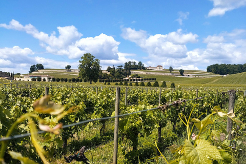 From Bordeaux to Saint Emilion by gravel bike - wine tasting