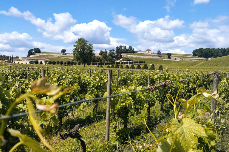 Från Bordeaux till Saint Emilion med gruscykel - vinprovning