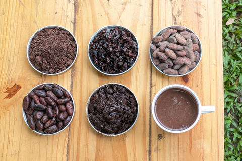 Entre Nubes - Sunrise at Cerro Kennedy, Pozo Azul, and Cacao Experience Between Clouds, Pozo Azul, and Cacao – Departure from the Minca Bridge