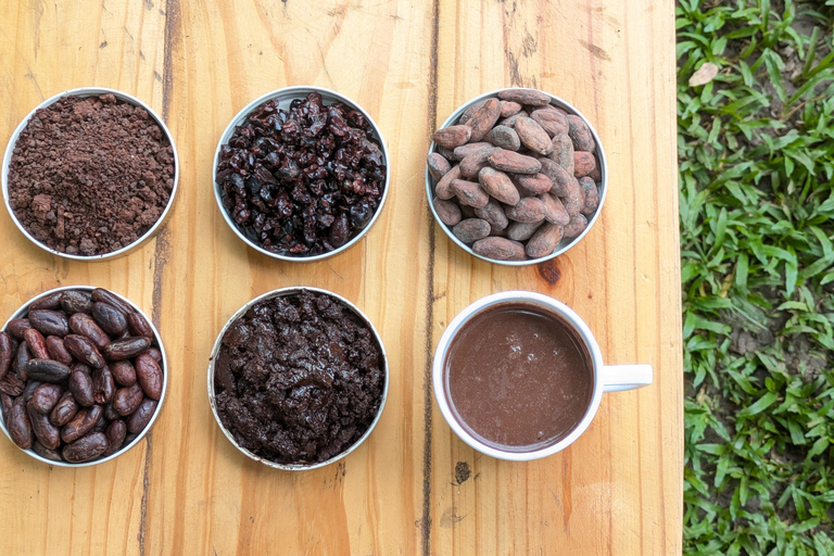 Entre Nubes - Sunrise at Cerro Kennedy, Pozo Azul, and Cacao Experience Between Clouds, Pozo Azul, and Cacao – Departure from the Minca Bridge