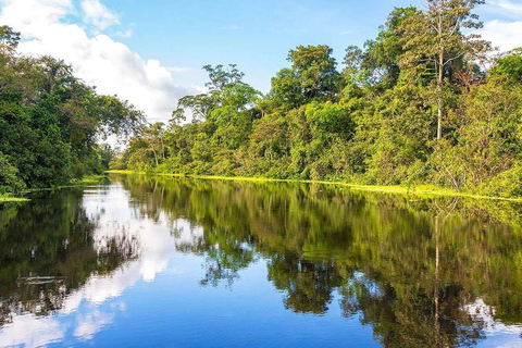 Desde Iquitos || Navega por el río Amazonas - Día completo ||