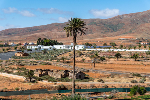 Depuis Caleta de Fuste : Explorez la campagne de Fuerteventura