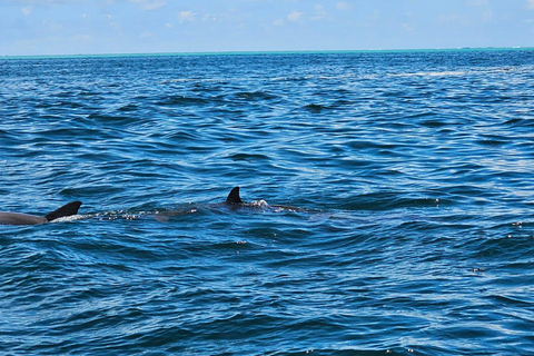 5 ilhas Passeio de barco, Snorkeling, Almoço de churrasco na praia