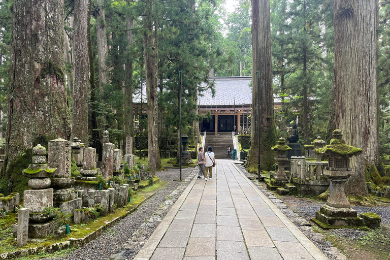 Mount Koya: Full-Day Private Guided Tour from Osaka