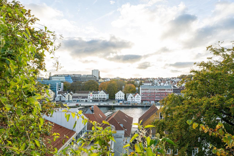 Private Stavanger city Highlights Driving tour
