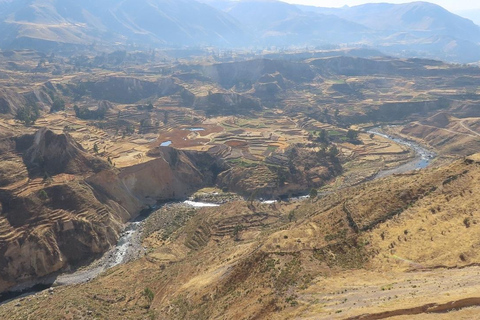 Cruz del Cóndor: a two-day guided tour from Puno Condor's Cross: a two-day guided tour from Puno