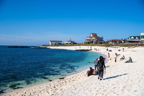 Jeju: Udo Island, Seongsan & Tangerine Picking Tour