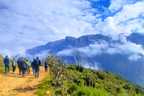 Tour panoramico del Canyon del Colca di 2 giorni con arrivo a Puno Hotel***Tour panoramico del Canyon del Colca di 2 giorni con arrivo a PunoHotel***