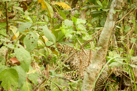 Chitwan: 2 Nights 3 Days Hotel and Ethical Jungle Safari