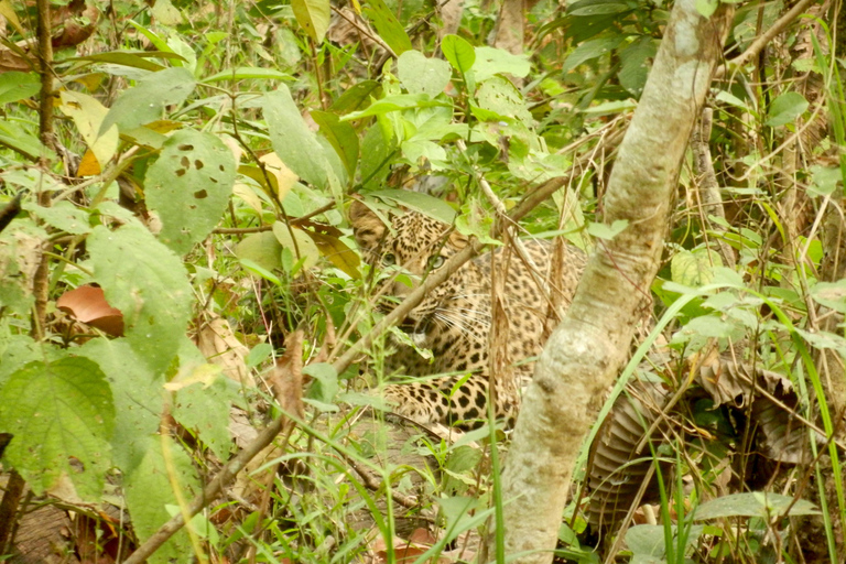 Chitwan: 2 Nights 3 Days Hotel and Ethical Jungle Safari