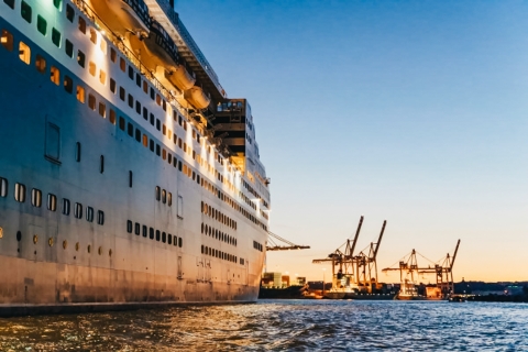 Hamburgo: Crucero nocturno de 1,5 horas por el Gran Puerto