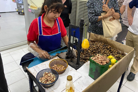 City tour em Phuket com pontos de vista, templos e alimentação de elefantesServiço de busca no hotel em Patong, Karon ou Kata Beach