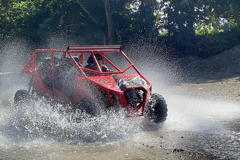 Puerto Plata: Jungle Buggy Quest & Ancestral Senses