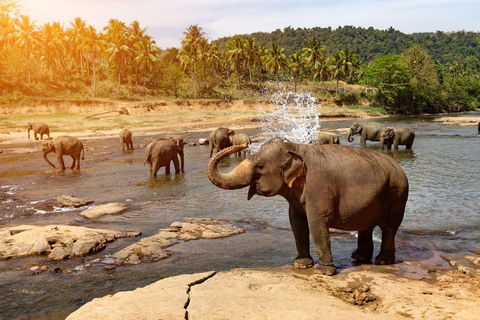 Vanuit Bentota: 5-daagse rondreis met Kandy en Nuwara Eliya