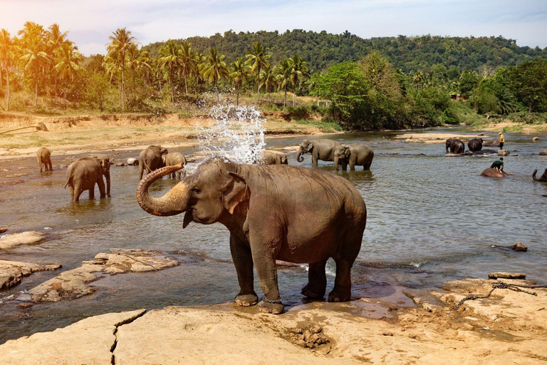 Sri Lanka:6-Day Tour of Kandy,Nuwara Eliya,Bentota & Colombo