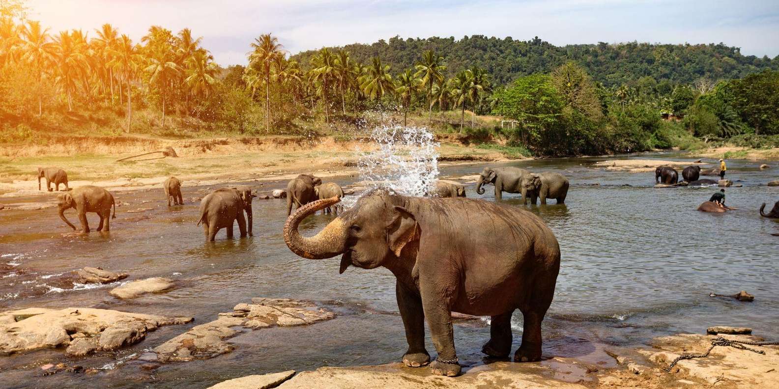 Pinnawala Zoo thumbnail 4