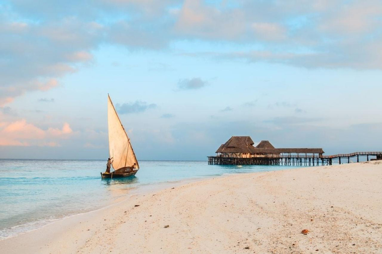 Zanzibar: Mnemba Dolphin Swim, Turtle Aquarium & Beach Trip TOUR WITHOUT HOTEL TRANSFER(PICK UP AND DROP OFF)