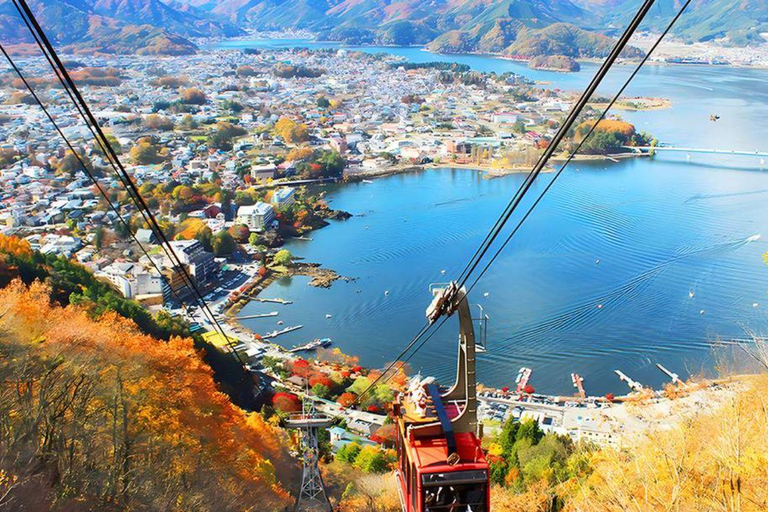 Mt Fuji Private Luxury Full-Day Tour with customization