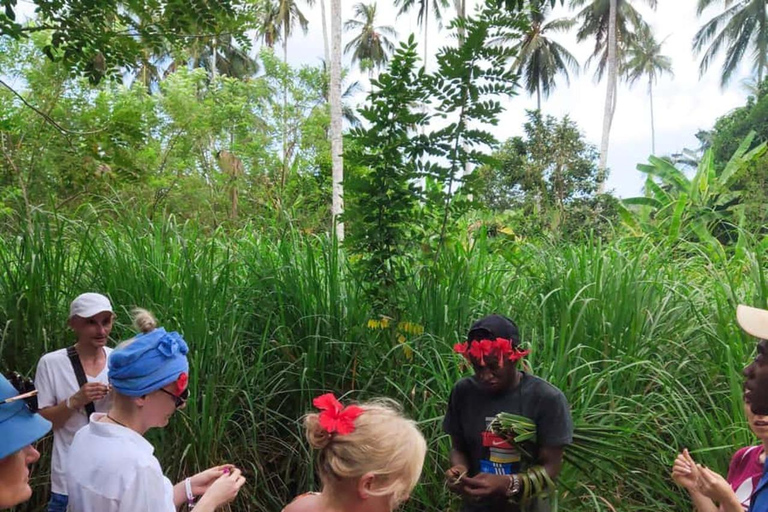 Zanzibar: Privat kryddodlingstur med lokal guide.Det här alternativet inkluderar upphämtning från hotell i Stone Town.