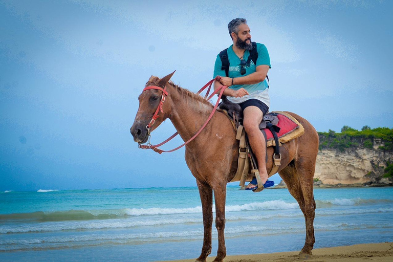 Punta Cana: Horseback Riding Tour. Connect with nature at a gallop. Punta Cana: Horseback Tour. Connect with nature at a gallop.