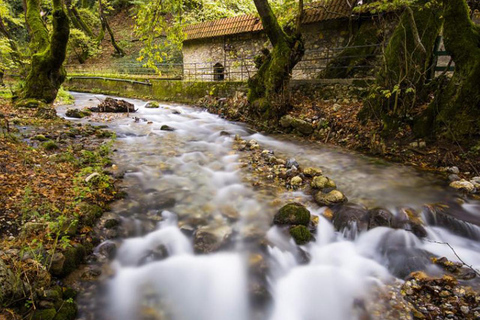 Corinth: Kalavryta and Cog Railway Day Tour