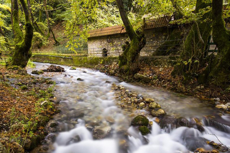 Corinth: Kalavryta and Cog Railway Day Tour