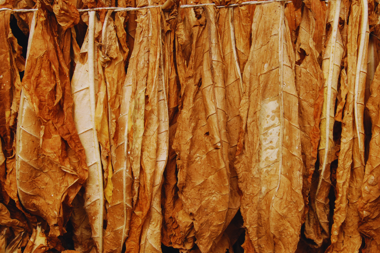 Punta Cana: Excursion to Higuey, Basilica, tobacco factory, and local market