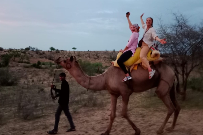 Jodhpur: Tocht op een woestijnkameel met Rajasthani volksdansen
