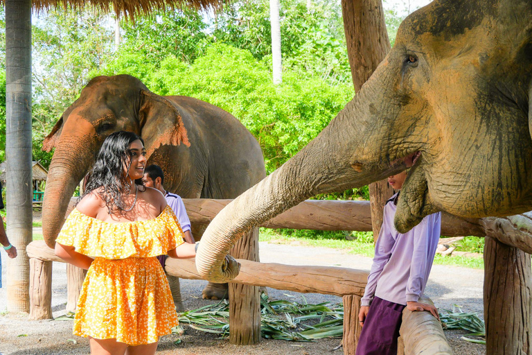 Krabi: Ao Nang Elephant Sanctuary Tour