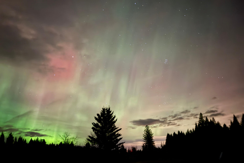 Banff Night Sky: Northern Lights and/or Stargazing Tour