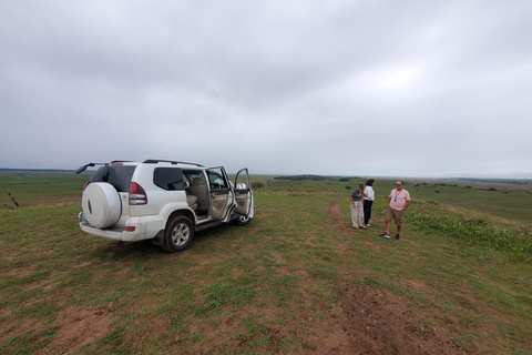 From Maputo: Maputo National Park Guided 4x4 Safari