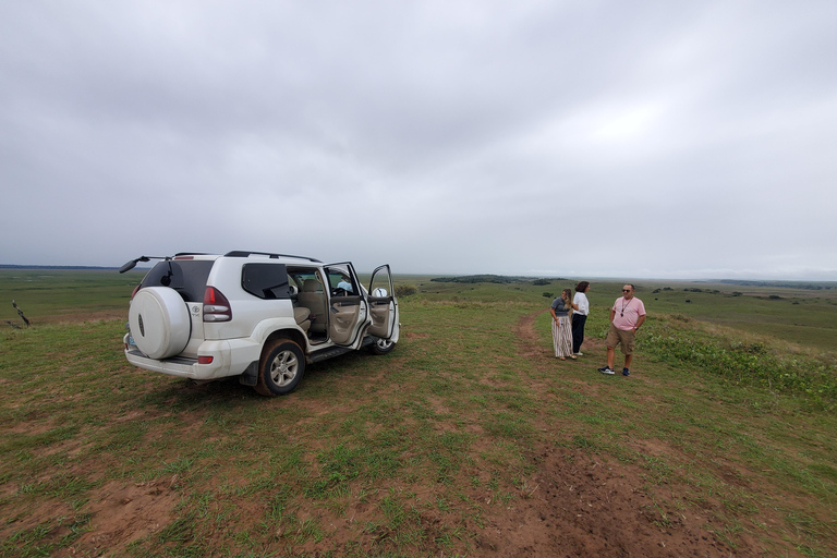 From Maputo: Maputo National Park Guided 4x4 Safari